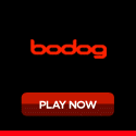 Sportsbook Online Poker Casino Gambling